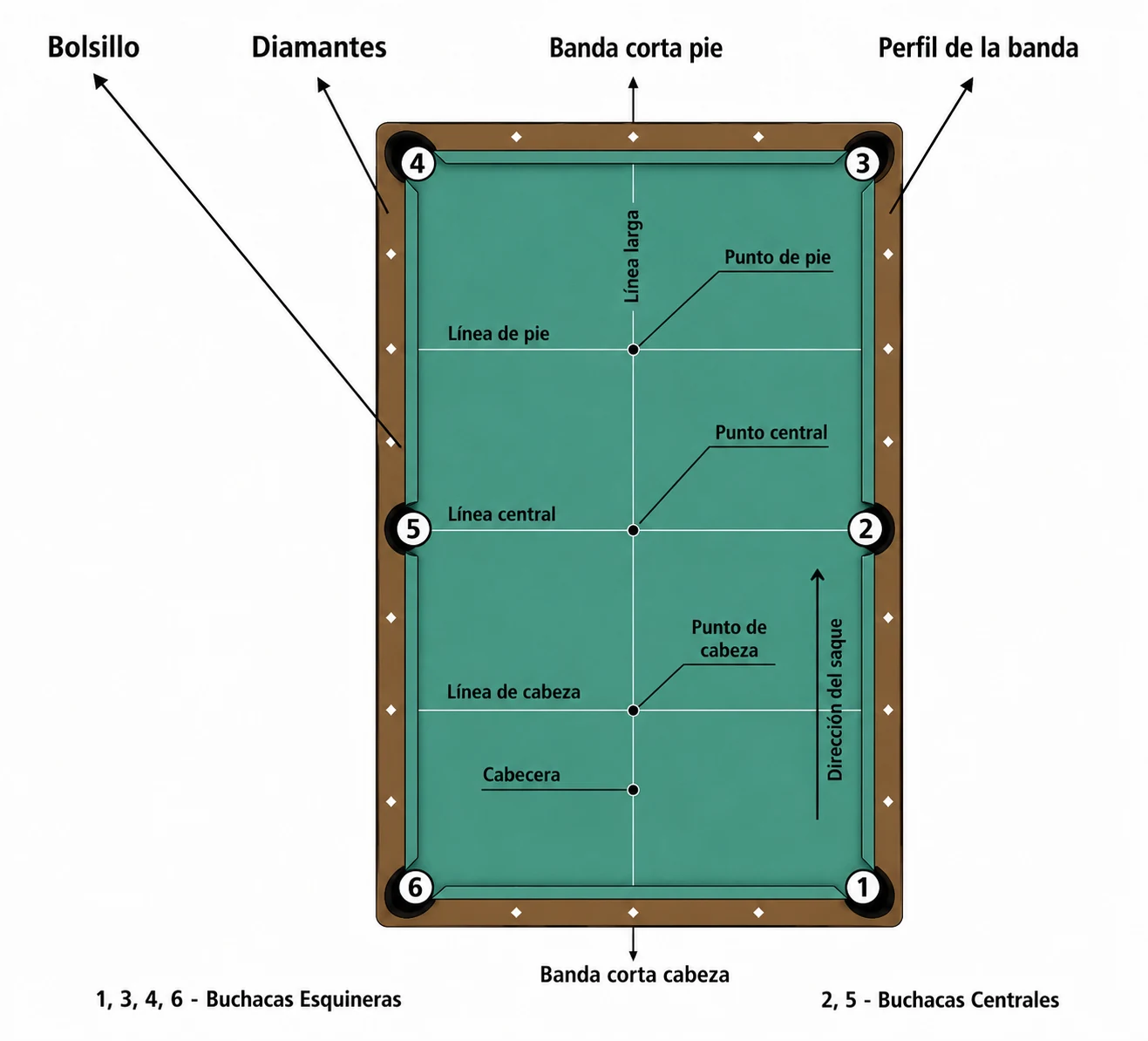 Partes de la mesa de billar: buchacas, diamantes, bandas, líneas y puntos
